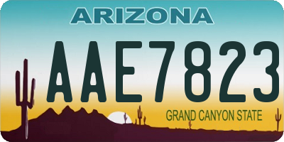 AZ license plate AAE7823