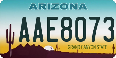 AZ license plate AAE8073
