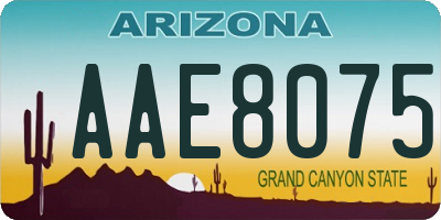 AZ license plate AAE8075