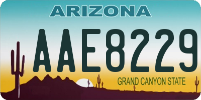 AZ license plate AAE8229