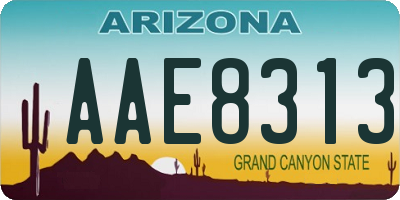 AZ license plate AAE8313