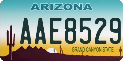 AZ license plate AAE8529