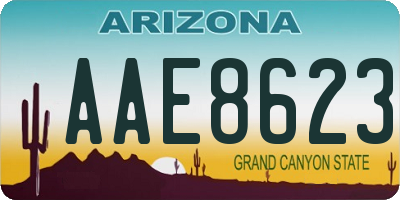 AZ license plate AAE8623