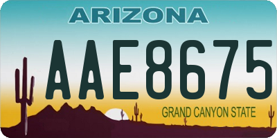 AZ license plate AAE8675