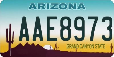 AZ license plate AAE8973