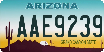 AZ license plate AAE9239