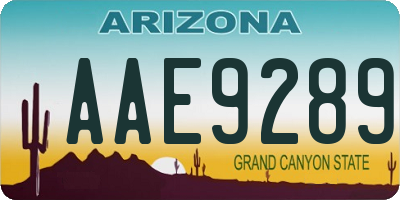 AZ license plate AAE9289