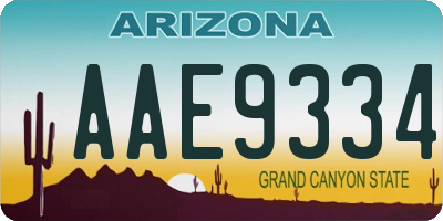 AZ license plate AAE9334