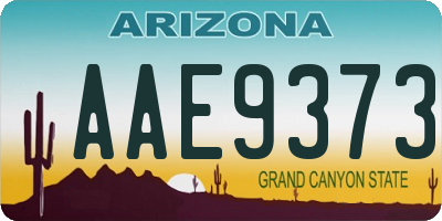 AZ license plate AAE9373