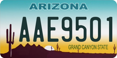 AZ license plate AAE9501