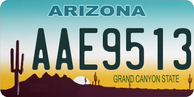 AZ license plate AAE9513