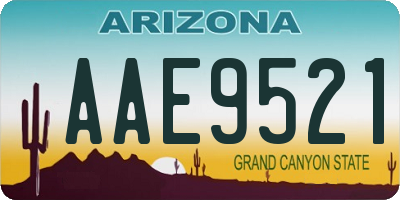 AZ license plate AAE9521