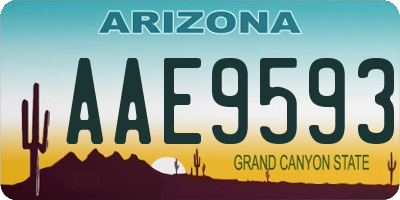 AZ license plate AAE9593
