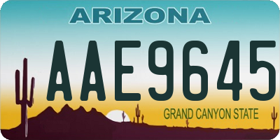 AZ license plate AAE9645