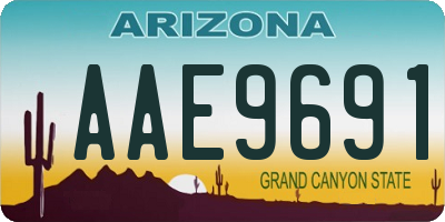 AZ license plate AAE9691