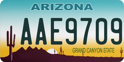 AZ license plate AAE9709