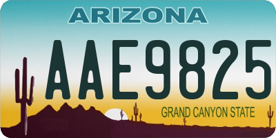 AZ license plate AAE9825