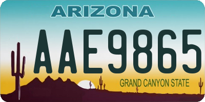 AZ license plate AAE9865