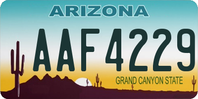 AZ license plate AAF4229