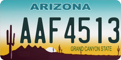 AZ license plate AAF4513