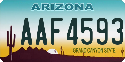 AZ license plate AAF4593