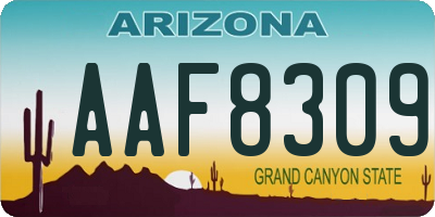 AZ license plate AAF8309