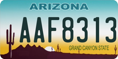 AZ license plate AAF8313