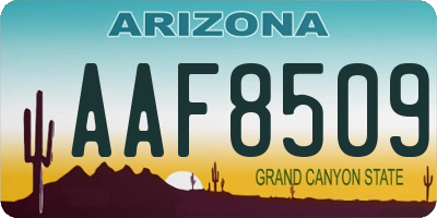 AZ license plate AAF8509