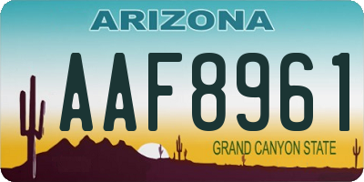 AZ license plate AAF8961
