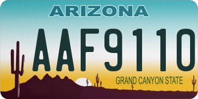 AZ license plate AAF9110