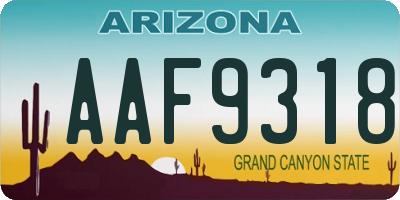 AZ license plate AAF9318