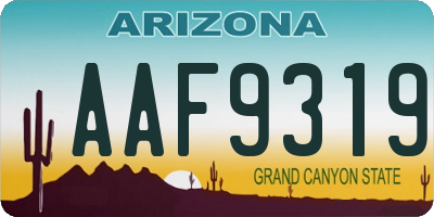 AZ license plate AAF9319