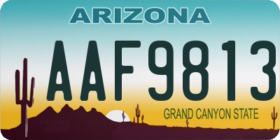 AZ license plate AAF9813
