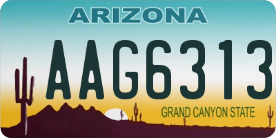 AZ license plate AAG6313