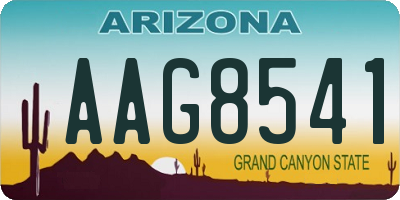 AZ license plate AAG8541