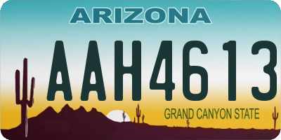 AZ license plate AAH4613