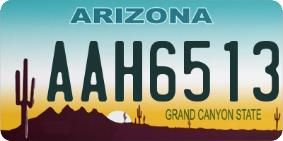 AZ license plate AAH6513