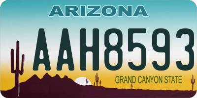 AZ license plate AAH8593