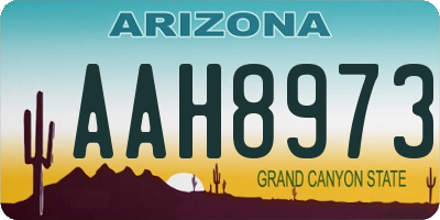AZ license plate AAH8973