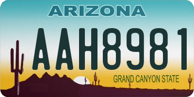 AZ license plate AAH8981