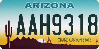 AZ license plate AAH9318