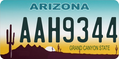 AZ license plate AAH9344