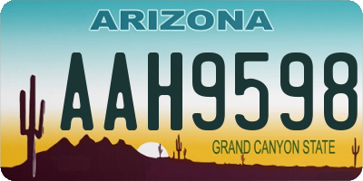 AZ license plate AAH9598