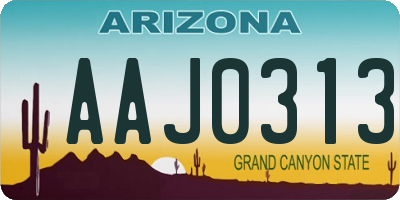 AZ license plate AAJ0313