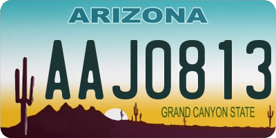 AZ license plate AAJ0813