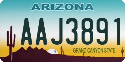 AZ license plate AAJ3891