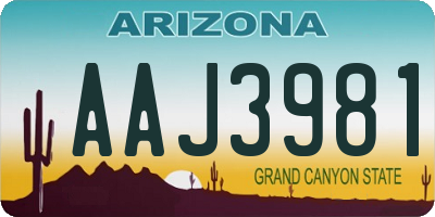 AZ license plate AAJ3981