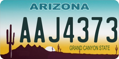 AZ license plate AAJ4373