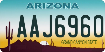 AZ license plate AAJ6960