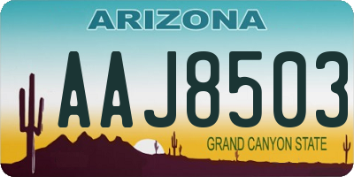AZ license plate AAJ8503